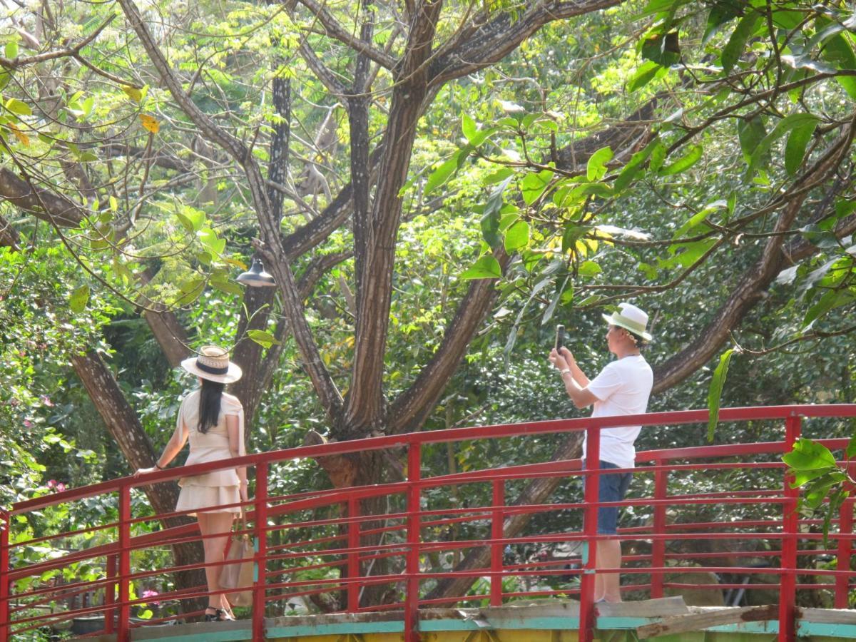 Hoang Lan Villa - Suoi Luong - Hai Van Park Da Nang Exterior foto